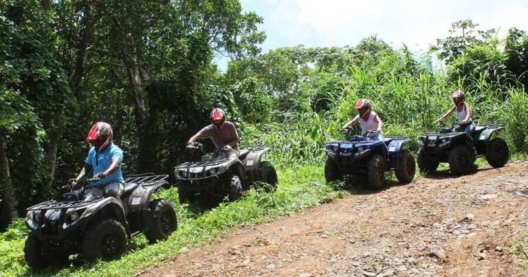 Aanansiatv Atv Tour Atv Tour Forest Path Saint Lucia