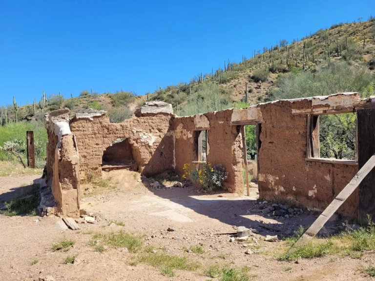 Arizonaatvadventures The Box Canyon Tour Florence Az Ruined Adobe Building Desert Cacti