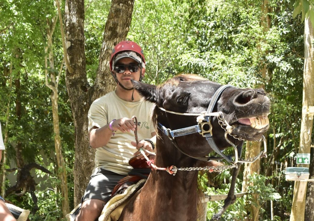 atvamazing_combo-4-full-single-package-horseback-rider-jungle-path Atvamazing Combo Full Single Package Horseback Rider Jungle Path