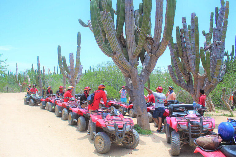 Cabosanlucas Candelaria Atv Tour Atv Tour Cacti Sand Road