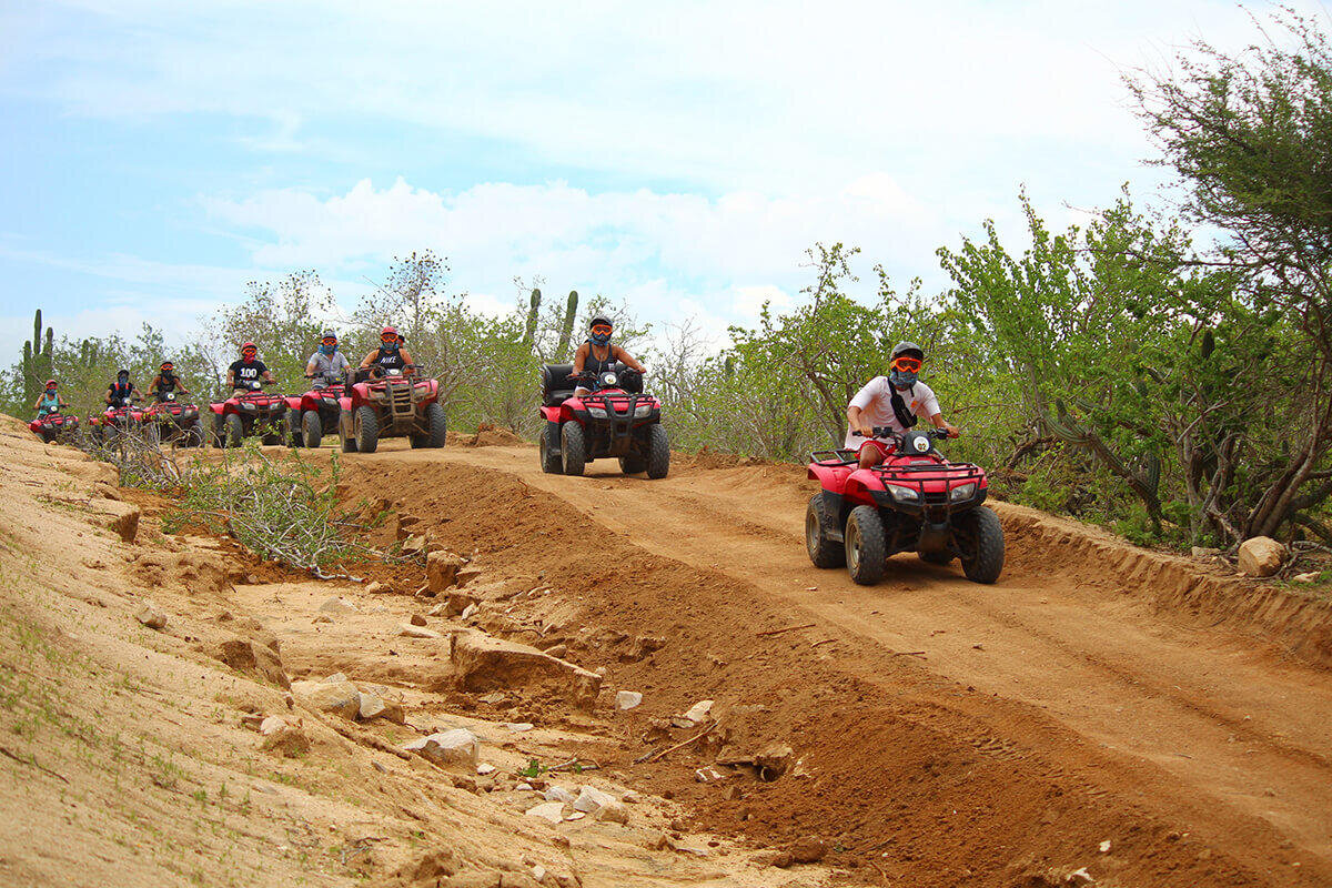 Cabosanlucas Candelaria Atv Tour Atv Tour Dirt Road Cactus