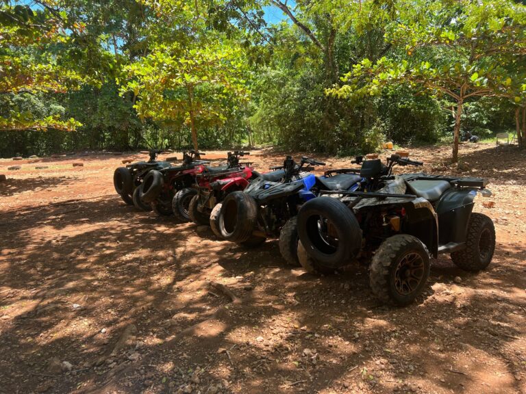 Captain Splash Package Deal  Horse Atvs Raft Dunn S R Atvs Parked Jamaica Forest