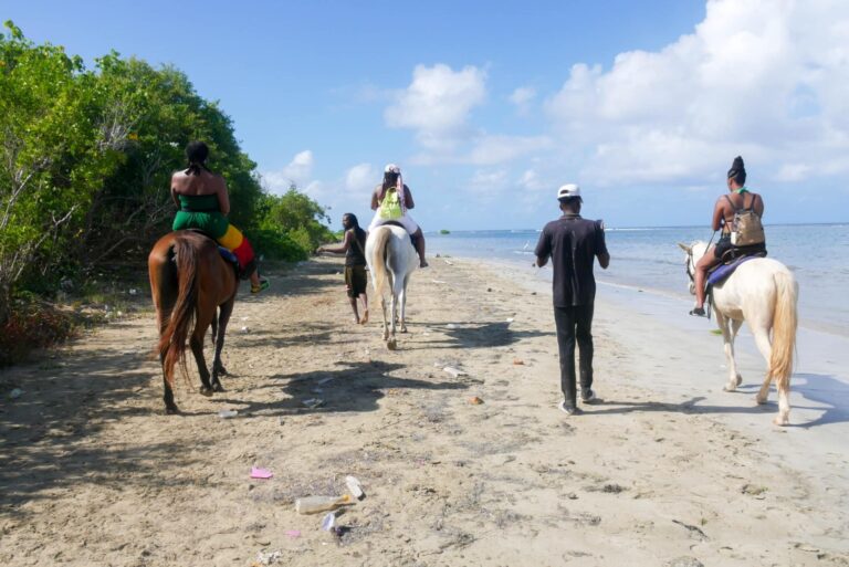 Captain Splash Package Deal  Horse Atvs Raft Dunn S R Beach Horseback Riding Jamaica