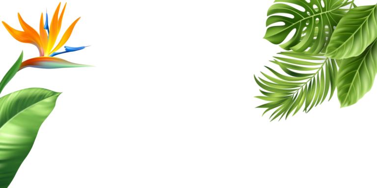 Estigotours Atv Zip Line Combo Tour Pv Atv Zip Line Combo Tour Mexico