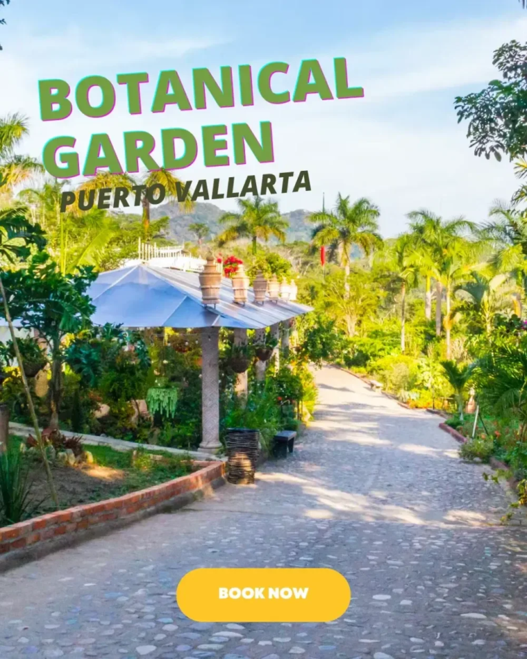 Estigotours Atv Zip Line Combo Tour Pv Botanical Garden Puerto Vallarta Pathway