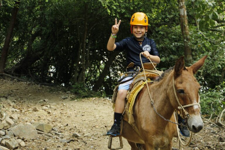 Estigotours Atv Zip Line Combo Tour Pv Boy Peace Sign Horse Forest