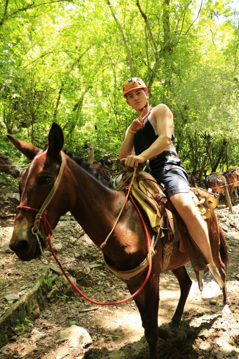 Estigotours Atv Zip Line Combo Tour Pv Horseback Rider Green Forest