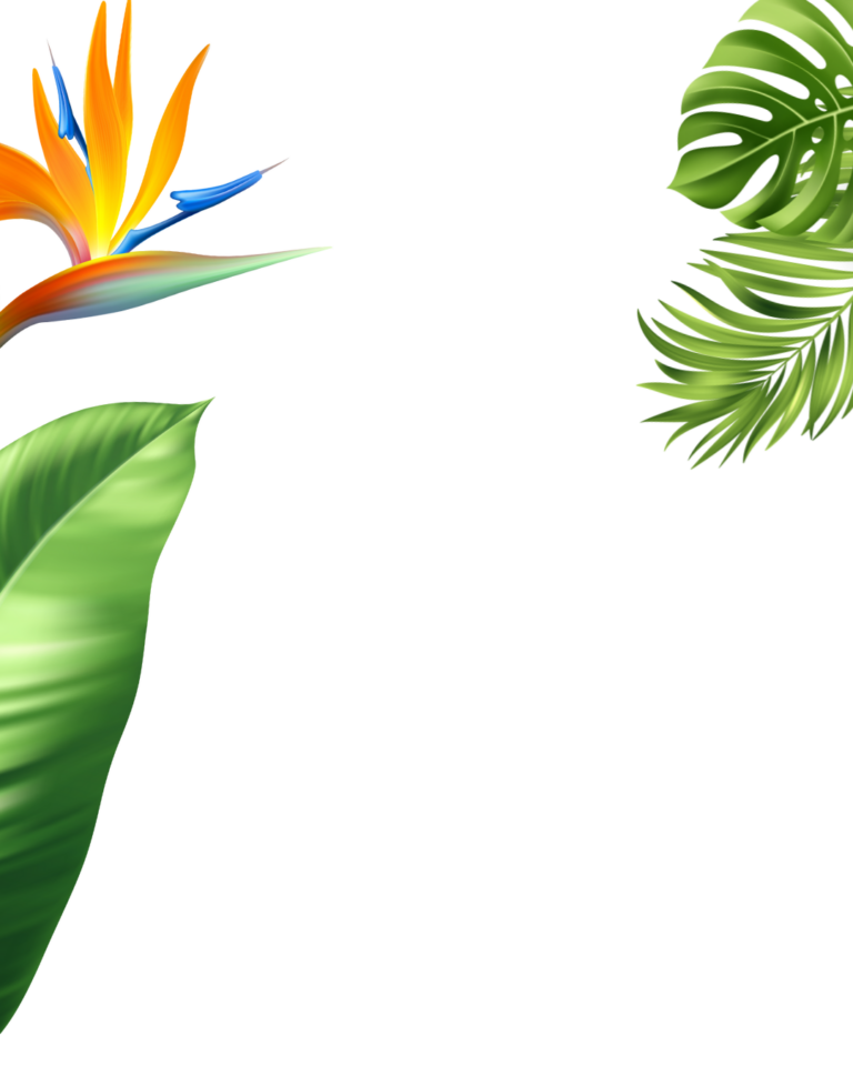 Estigotours Atv Zip Line Combo Tour Pv Tropical Flowers Green Leaves