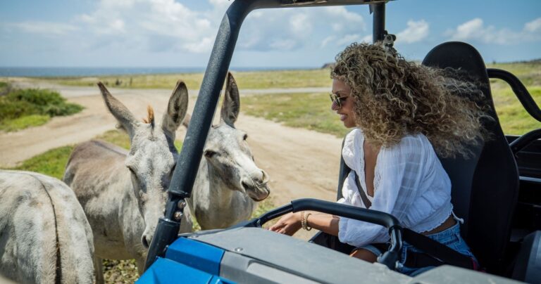 georgescycles_island-tour-w-atv-or-utv-half-day-atv-utv-donkeys-aruba Georgescycles Island Tour W Atv Or Utv Half Day Atv Utv Donkeys Aruba