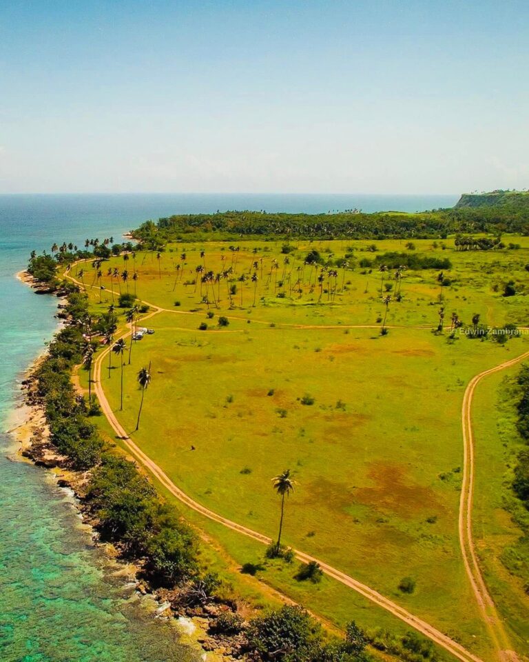 Horseridespr Atv Tour Coastal Paths Palm Trees Puerto Rico