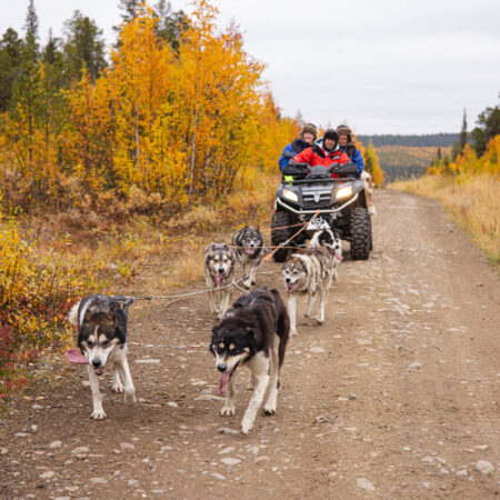 Jvt Overnight Tour With Quad Atv Atv Dog Sledding Autumn Scenery