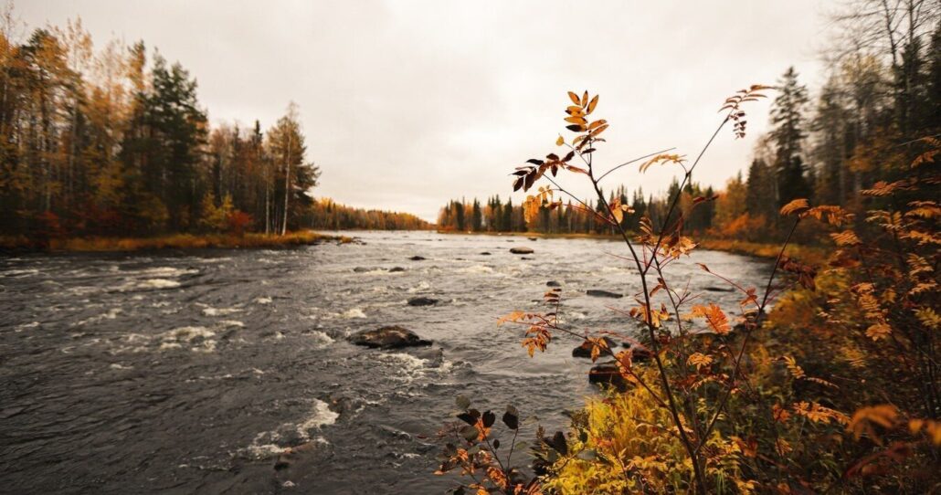 Jvt Overnight Tour With Quad Atv Autumn River Forest Sweden