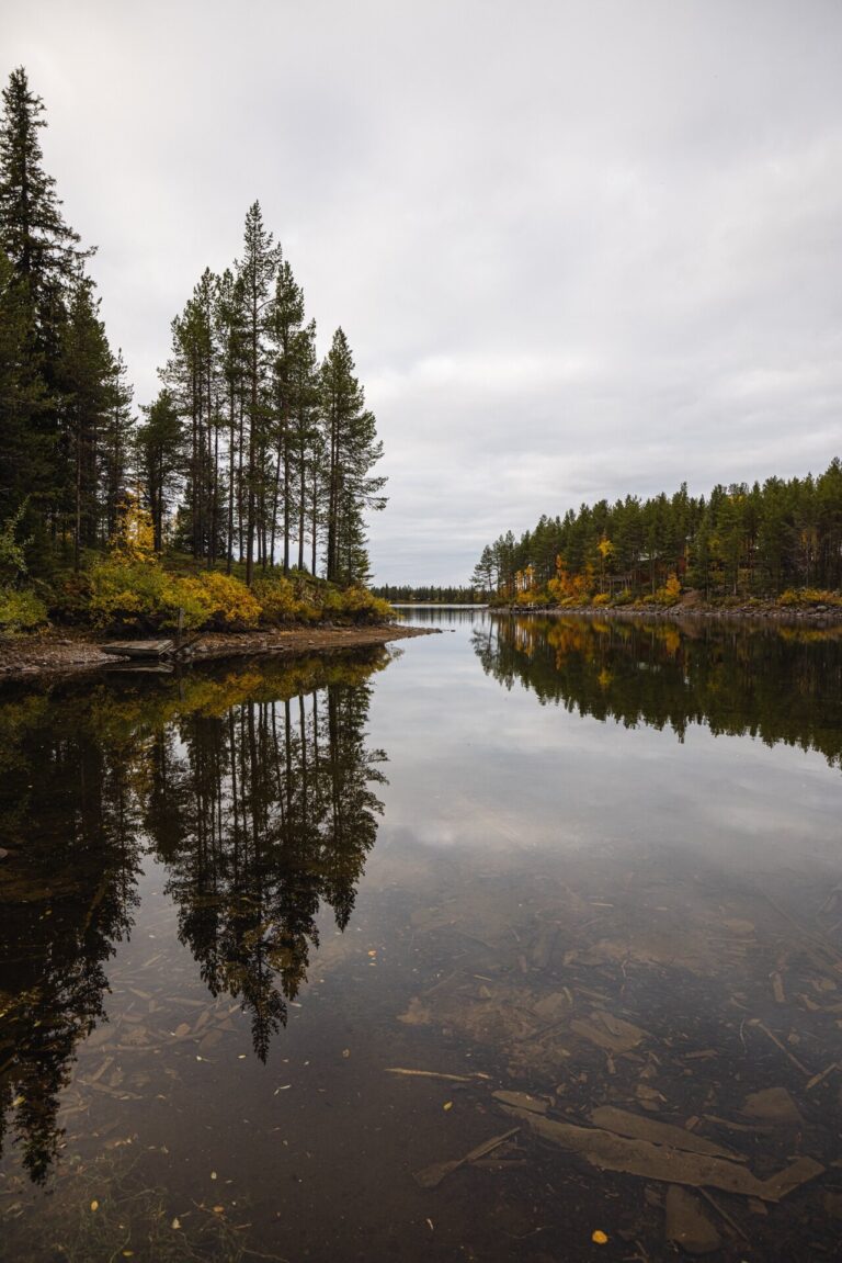 Jvt Overnight Tour With Quad Atv Calm Lake Reflection Pines Autumn