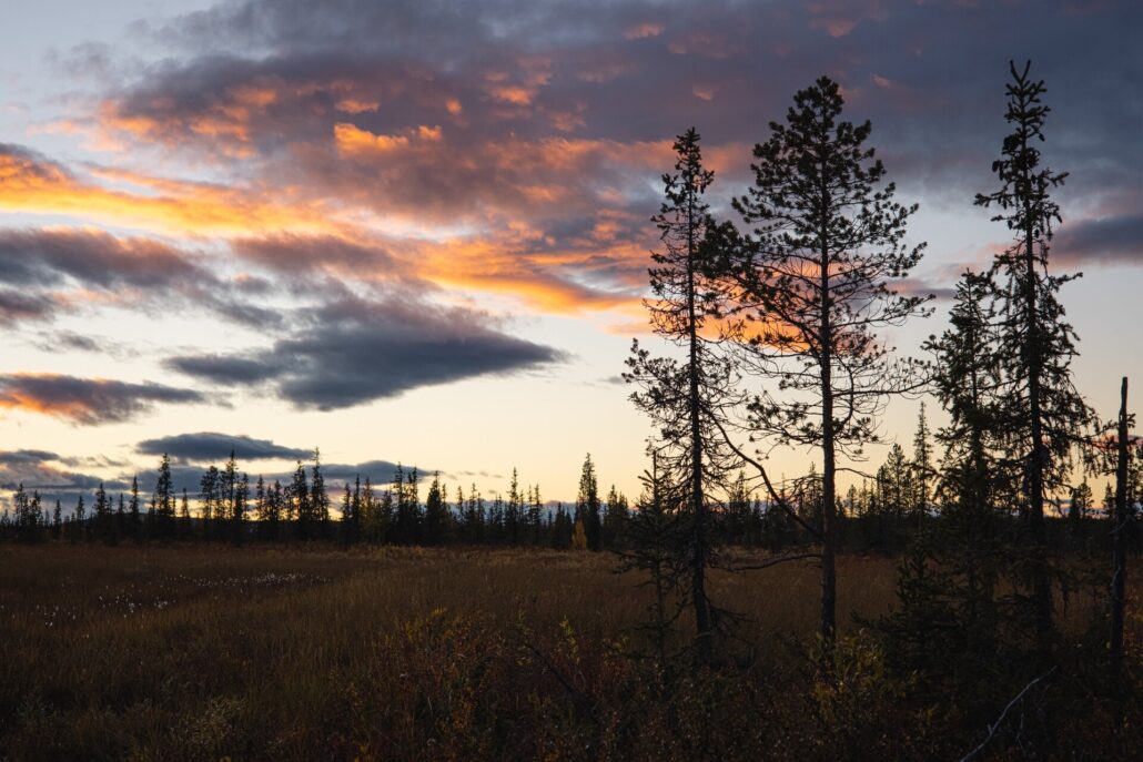 Jvt Overnight Tour With Quad Atv Sunset Clouds Trees Sweden