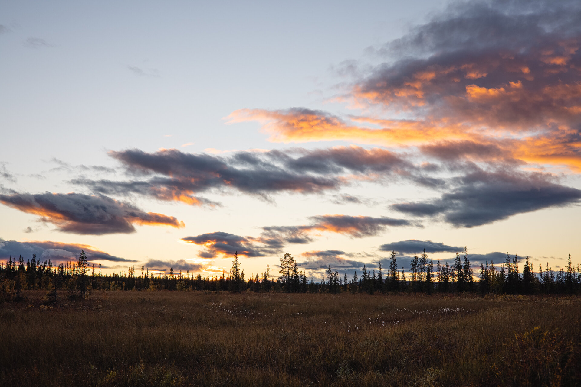 Wilderness Ribe Quad/ATV Wilderness Ride with Coffee & Sandwiches | Lapland Adventure Tour
