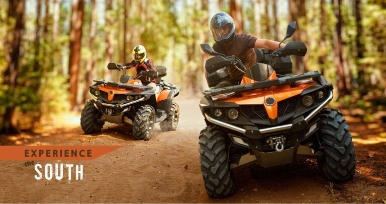 Safariquad Rhodes Atv Quad Adventure Guided Tour Atv Quad Adventure Forest Riders