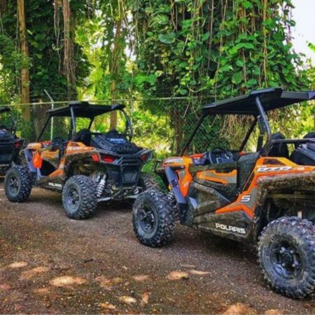 Scotttransportandtours Rasta Cultural Atv Safari Atvs Parked Jamaican Forest