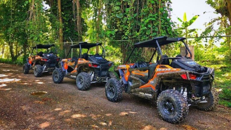 Scotttransportandtours Rasta Cultural Atv Safari Atvs Parked Jamaican Forest