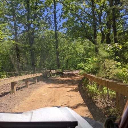Uwharrieatvrentals Honda Talon  Seater Dirt Road Wooded Trail
