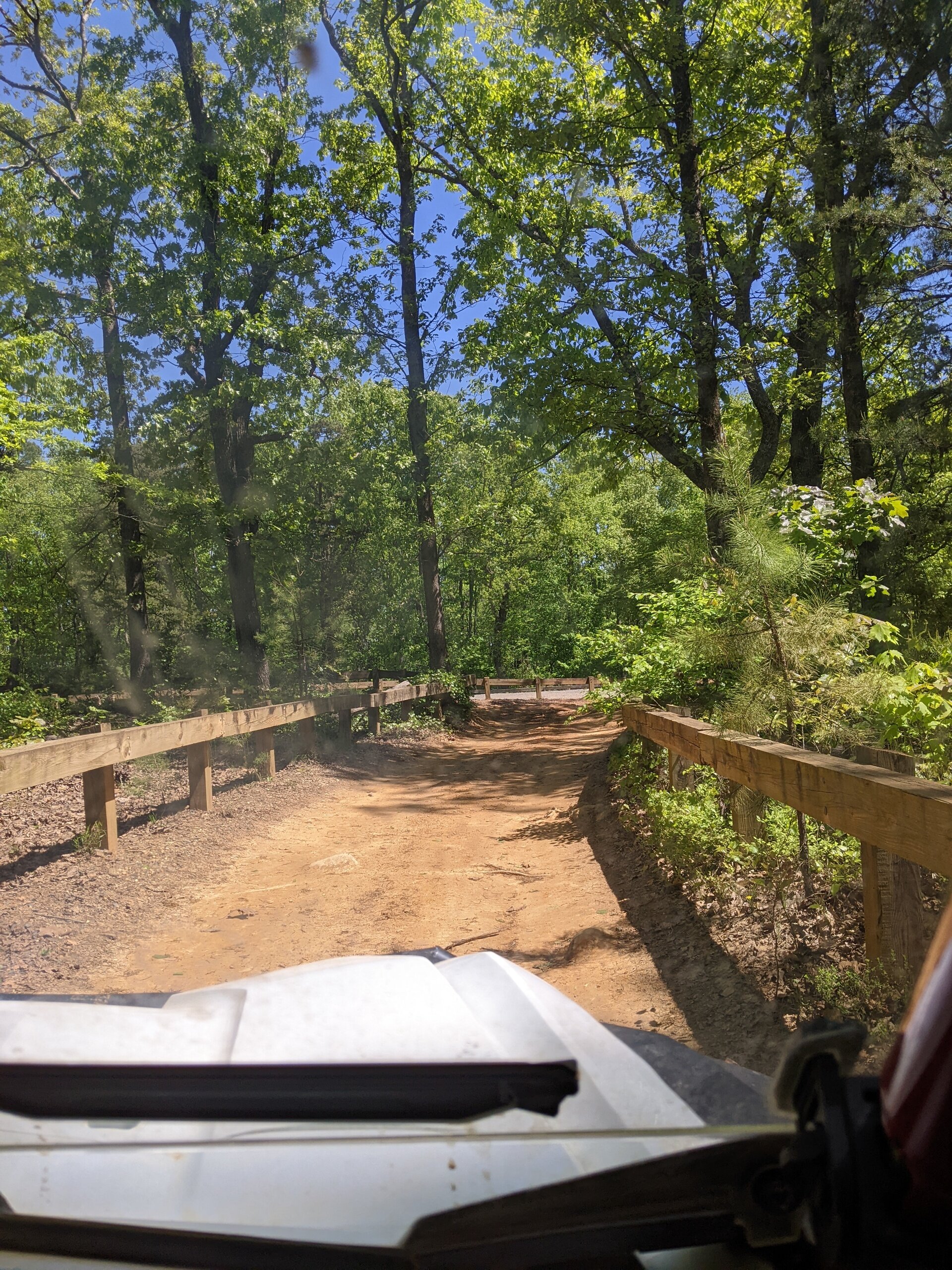 Uwharrieatvrentals Honda Talon  Seater Dirt Road Wooded Trail