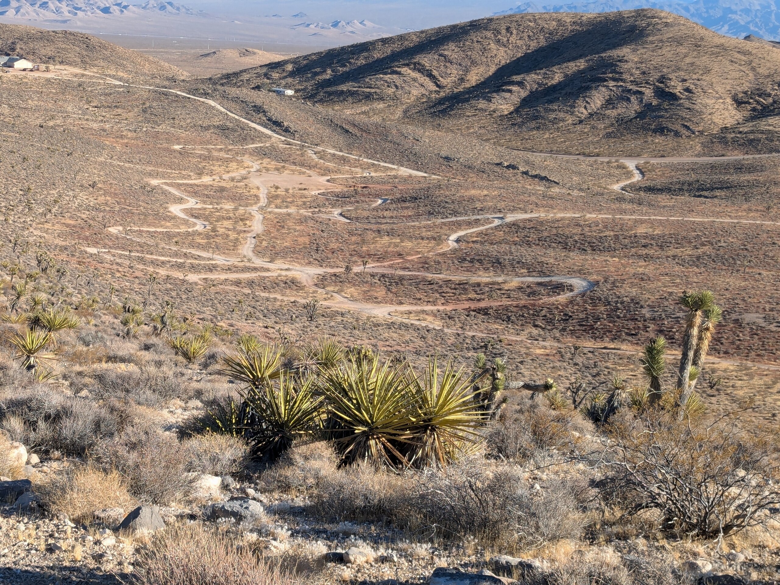 Vegasatvadventures Joshua Tree Hr Atv Sxs Off Road Tour Winding Road Desert Landscape Joshua Tr