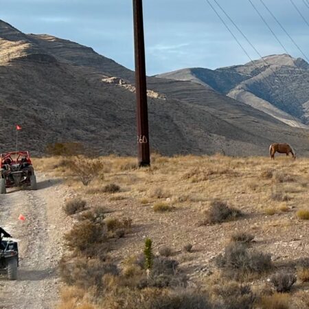 Vegasatvadventures Wild Mustang Hr Atv Sxs Off Road Tour Atv Off Road Tour Desert Horses